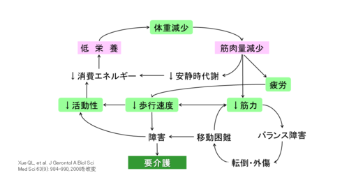 フレイルの判断基準