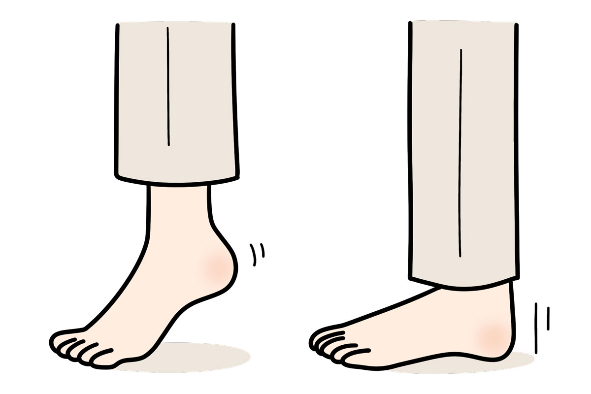 ふくらはぎの運動イメージ