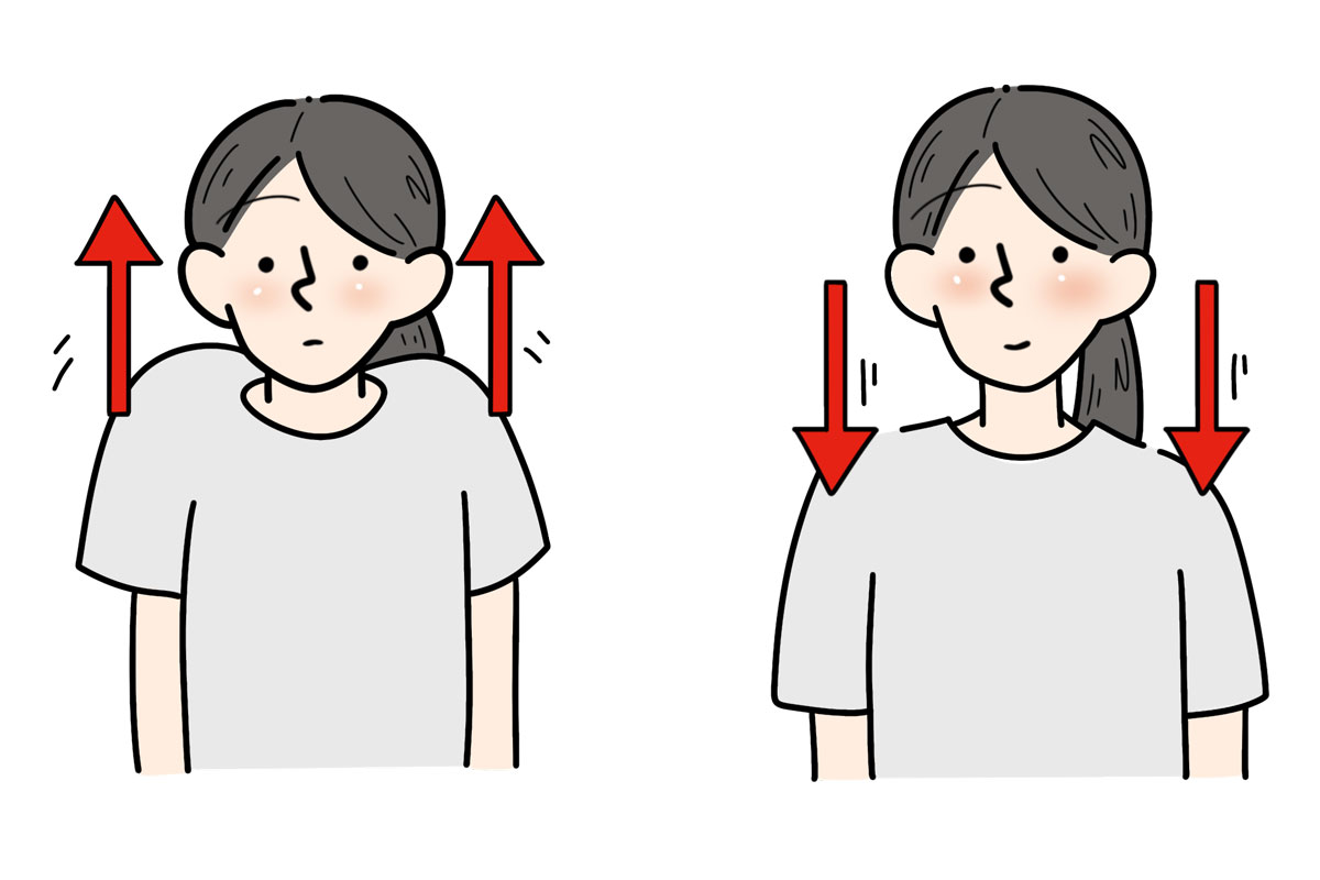 肩の上げ下げイメージ