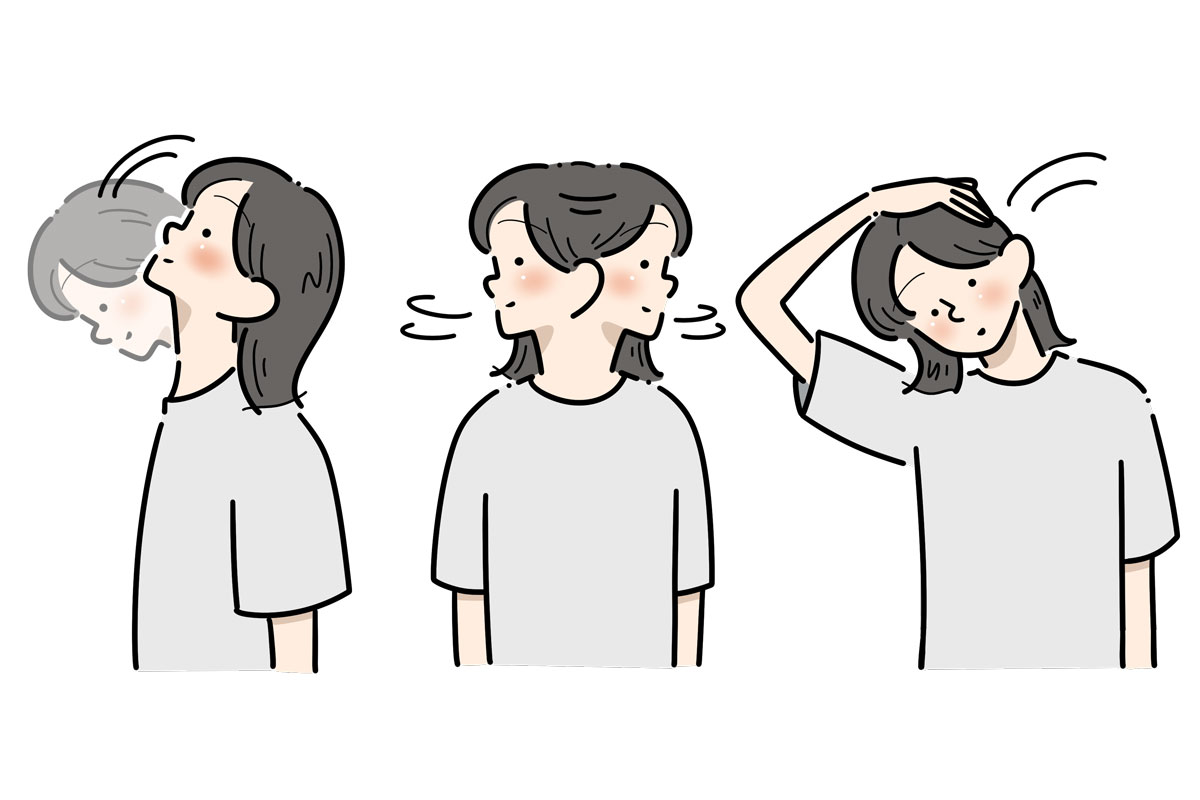 首の運動イメージ